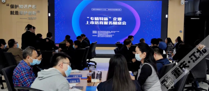 重慶專精特新企業上市培育圓桌會 重慶專精特新企業上市培育圓桌會