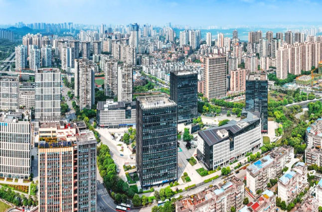 9月6日,大渡口區召開專精特新“小巨人”企業座談會! 9月6日,大渡口區召開專精特新“小巨人”企業座談會!