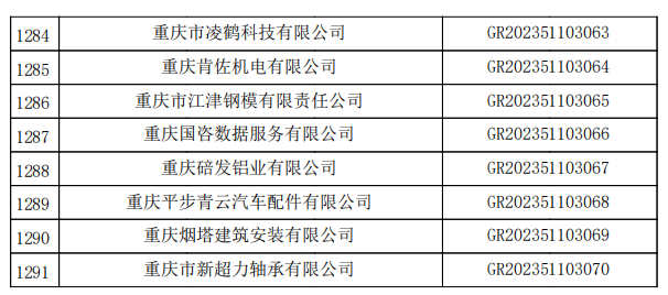 重慶市認定機構2023年認定報備的第二批高新技術企業備案名單2 重慶市認定機構2023年認定報備的第二批高新技術企業備案名單2