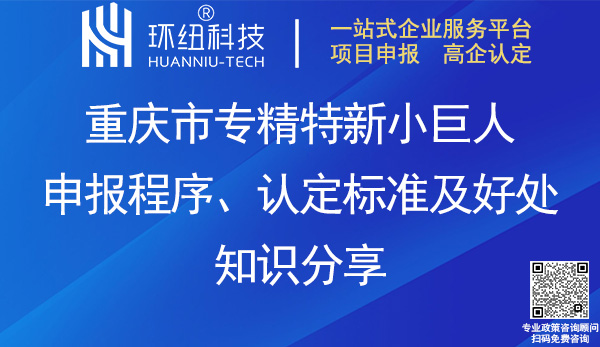 重慶市專(zhuān)精特新小巨人申報(bào)